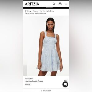 Aritizia Martine Poplin Dress